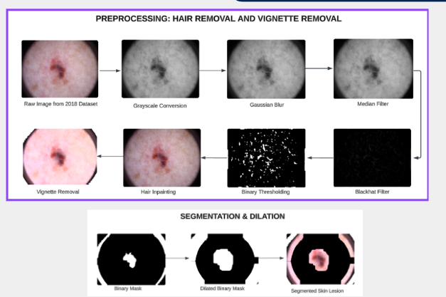ProMorph: Classification Model in ICIAC Japan 2024 project preview